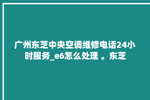 广州东芝中央空调维修电话24小时服务_e6怎么处理 。东芝