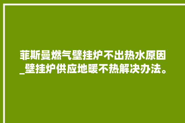 菲斯曼燃气壁挂炉不出热水原因_壁挂炉供应地暖不热解决办法。不出_壁挂炉