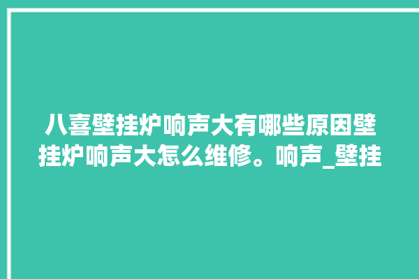 八喜壁挂炉响声大有哪些原因壁挂炉响声大怎么维修。响声_壁挂炉