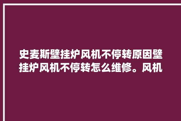 史麦斯壁挂炉风机不停转原因壁挂炉风机不停转怎么维修。风机_壁挂炉