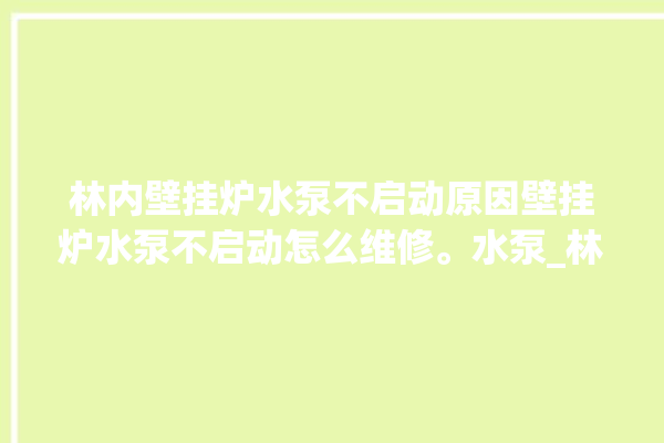 林内壁挂炉水泵不启动原因壁挂炉水泵不启动怎么维修。水泵_林内