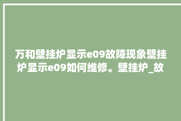 万和壁挂炉显示e09故障现象壁挂炉显示e09如何维修。壁挂炉_故障