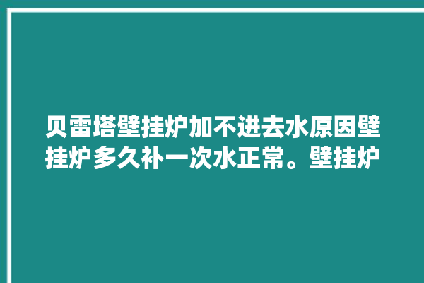 贝雷塔壁挂炉加不进去水原因壁挂炉多久补一次水正常。壁挂炉_不进去