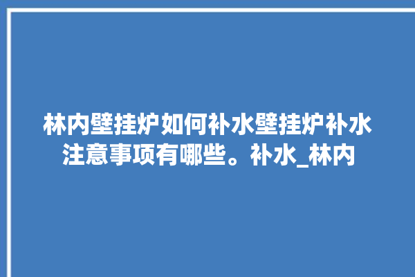 林内壁挂炉如何补水壁挂炉补水注意事项有哪些。补水_林内