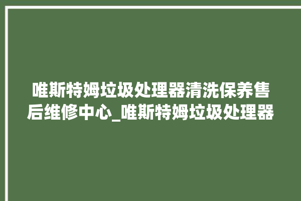 唯斯特姆垃圾处理器清洗保养售后维修中心_唯斯特姆垃圾处理器复位开关在哪里 。斯特