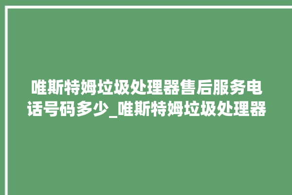 唯斯特姆垃圾处理器售后服务电话号码多少_唯斯特姆垃圾处理器自动进水功能 。斯特