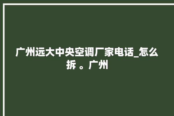 广州远大中央空调厂家电话_怎么拆 。广州