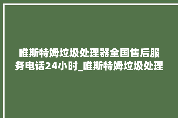 唯斯特姆垃圾处理器全国售后服务电话24小时_唯斯特姆垃圾处理器忽然不转了 。斯特