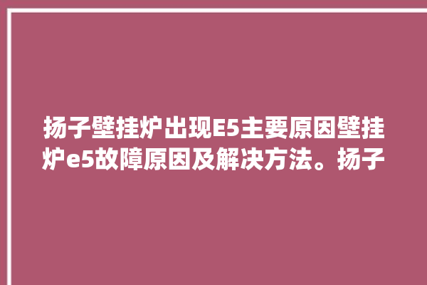 扬子壁挂炉出现E5主要原因壁挂炉e5故障原因及解决方法。扬子_壁挂炉