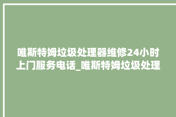 唯斯特姆垃圾处理器维修24小时上门服务电话_唯斯特姆垃圾处理器常见故障 。斯特