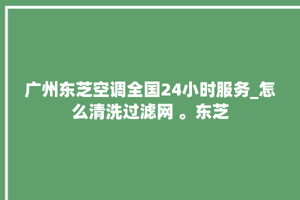 广州东芝空调全国24小时服务_怎么清洗过滤网 。东芝