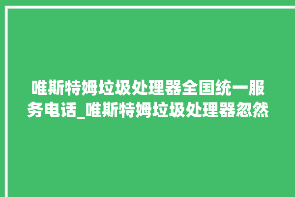 唯斯特姆垃圾处理器全国统一服务电话_唯斯特姆垃圾处理器忽然不转了 。斯特