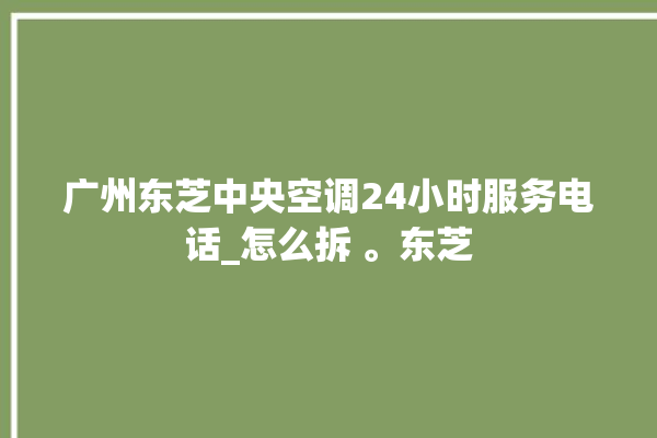 广州东芝中央空调24小时服务电话_怎么拆 。东芝