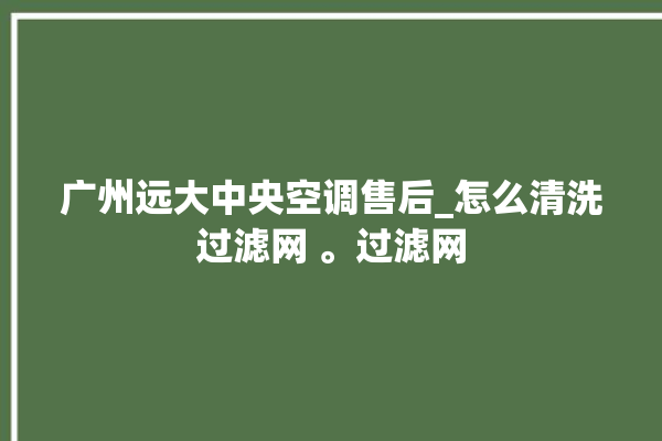 广州远大中央空调售后_怎么清洗过滤网 。过滤网