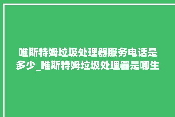 唯斯特姆垃圾处理器服务电话是多少_唯斯特姆垃圾处理器是哪生产的 。斯特