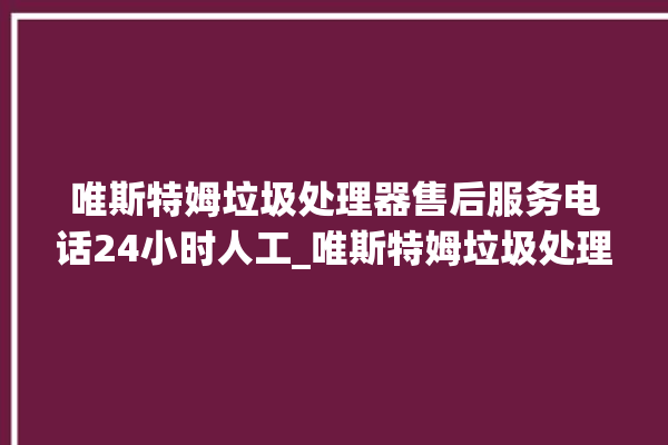 唯斯特姆垃圾处理器售后服务电话24小时人工_唯斯特姆垃圾处理器是几线品牌 。斯特