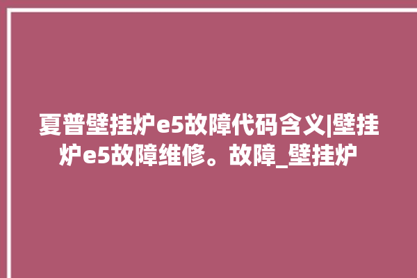 夏普壁挂炉e5故障代码含义|壁挂炉e5故障维修。故障_壁挂炉