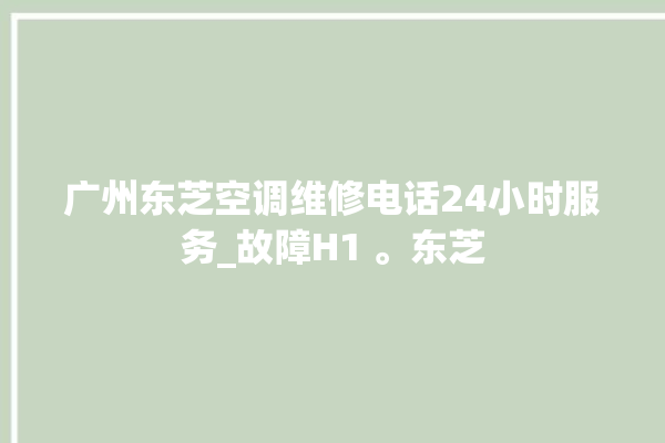 广州东芝空调维修电话24小时服务_故障H1 。东芝