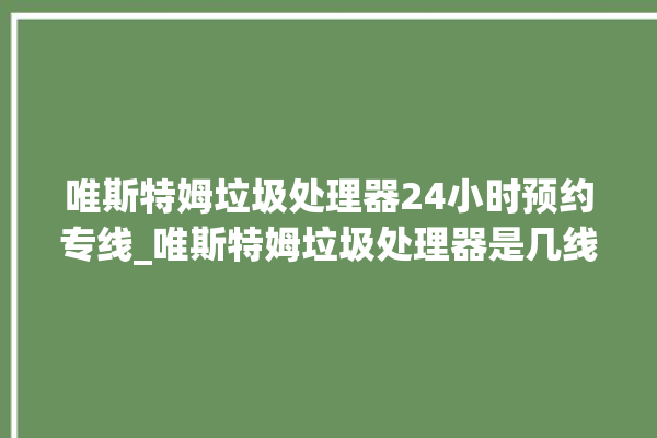 唯斯特姆垃圾处理器24小时预约专线_唯斯特姆垃圾处理器是几线品牌 。斯特