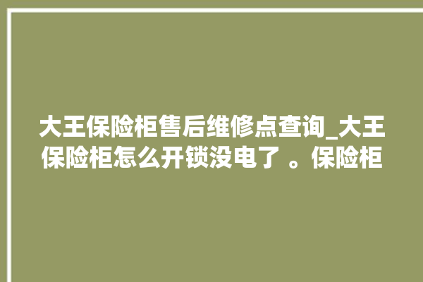 大王保险柜售后维修点查询_大王保险柜怎么开锁没电了 。保险柜