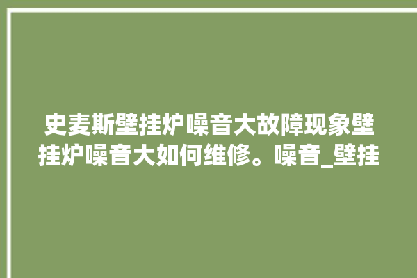 史麦斯壁挂炉噪音大故障现象壁挂炉噪音大如何维修。噪音_壁挂炉