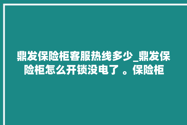 鼎发保险柜客服热线多少_鼎发保险柜怎么开锁没电了 。保险柜