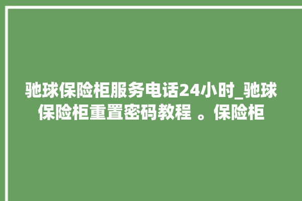 驰球保险柜服务电话24小时_驰球保险柜重置密码教程 。保险柜