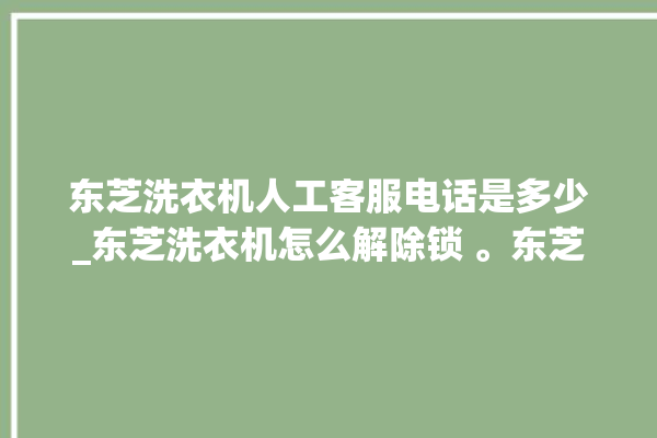 东芝洗衣机人工客服电话是多少_东芝洗衣机怎么解除锁 。东芝