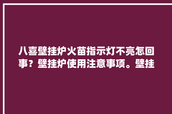 八喜壁挂炉火苗指示灯不亮怎回事？壁挂炉使用注意事项。壁挂炉_回事