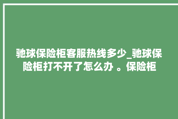 驰球保险柜客服热线多少_驰球保险柜打不开了怎么办 。保险柜