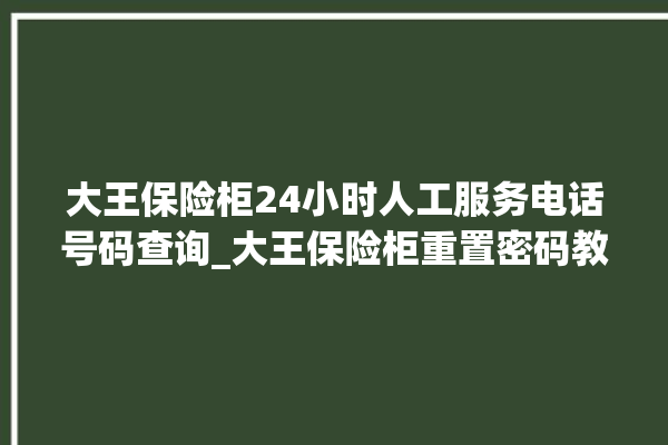 大王保险柜24小时人工服务电话号码查询_大王保险柜重置密码教程 。保险柜