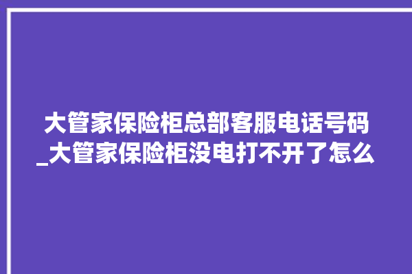 大管家保险柜总部客服电话号码_大管家保险柜没电打不开了怎么办 。保险柜