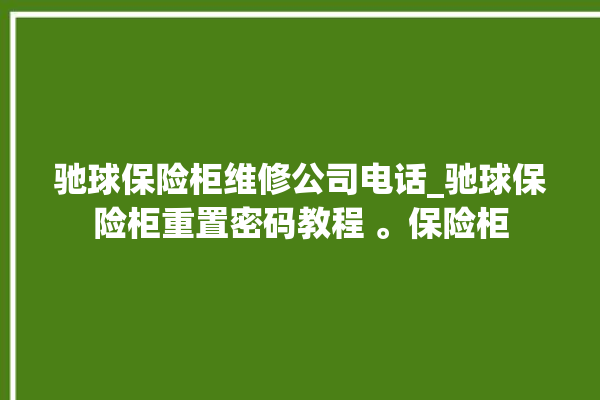 驰球保险柜维修公司电话_驰球保险柜重置密码教程 。保险柜