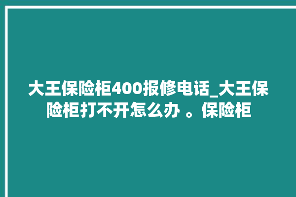 大王保险柜400报修电话_大王保险柜打不开怎么办 。保险柜