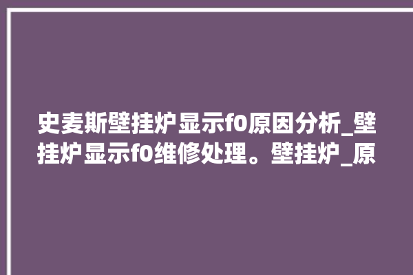 史麦斯壁挂炉显示f0原因分析_壁挂炉显示f0维修处理。壁挂炉_原因