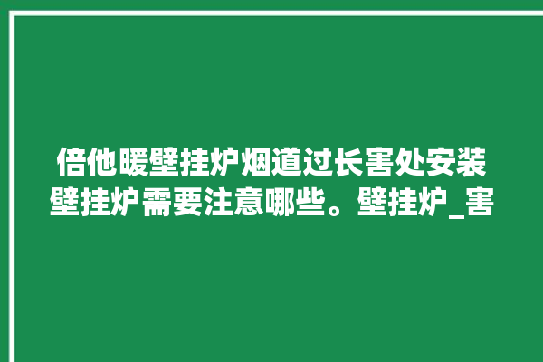 倍他暖壁挂炉烟道过长害处安装壁挂炉需要注意哪些。壁挂炉_害处