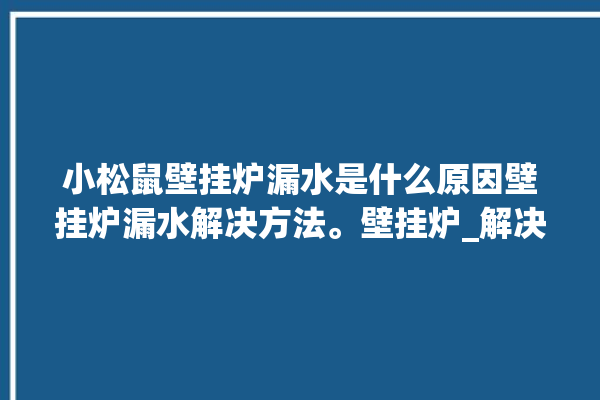 小松鼠壁挂炉漏水是什么原因壁挂炉漏水解决方法。壁挂炉_解决方法