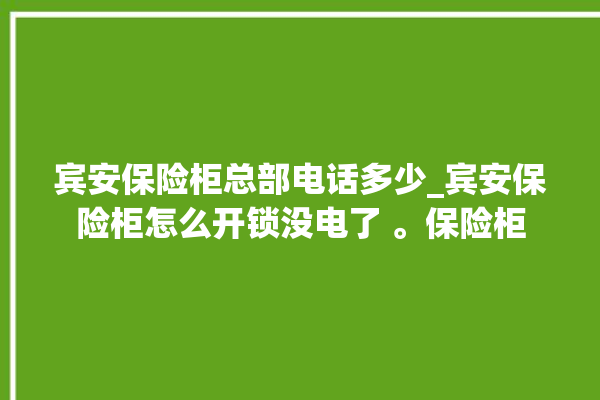 宾安保险柜总部电话多少_宾安保险柜怎么开锁没电了 。保险柜