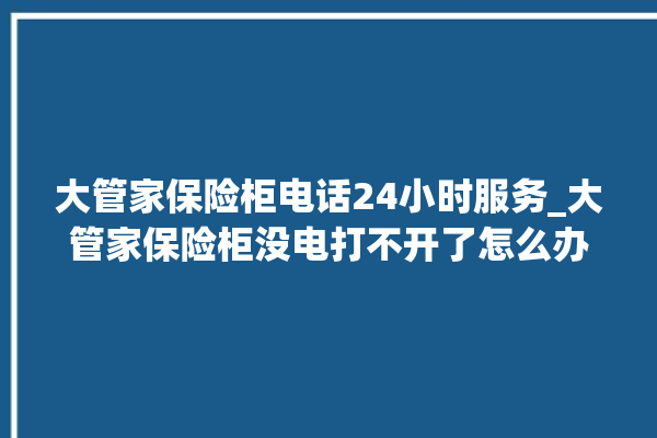 大管家保险柜电话24小时服务_大管家保险柜没电打不开了怎么办 。保险柜