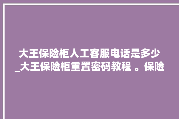 大王保险柜人工客服电话是多少_大王保险柜重置密码教程 。保险柜