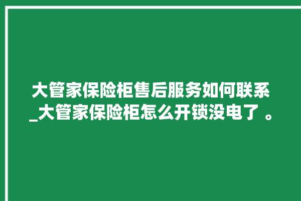 大管家保险柜售后服务如何联系_大管家保险柜怎么开锁没电了 。保险柜