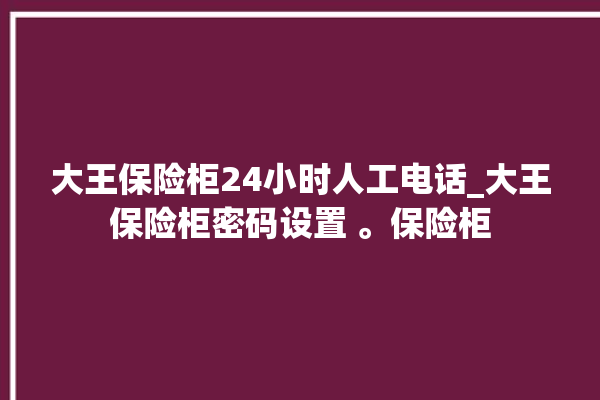 大王保险柜24小时人工电话_大王保险柜密码设置 。保险柜