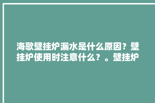 海歌壁挂炉漏水是什么原因？壁挂炉使用时注意什么？。壁挂炉