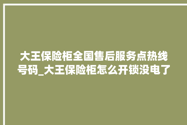 大王保险柜全国售后服务点热线号码_大王保险柜怎么开锁没电了 。保险柜