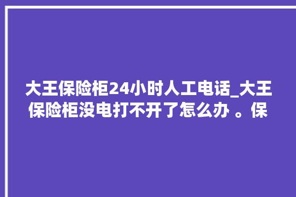 大王保险柜24小时人工电话_大王保险柜没电打不开了怎么办 。保险柜