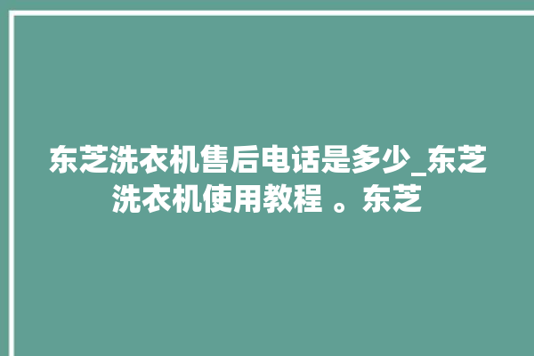 东芝洗衣机售后电话是多少_东芝洗衣机使用教程 。东芝