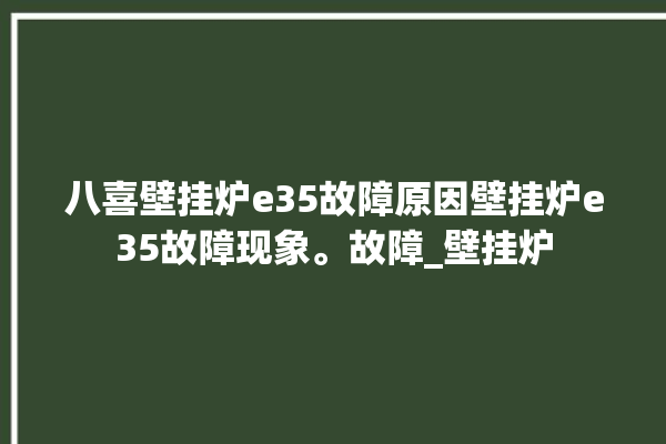 八喜壁挂炉e35故障原因壁挂炉e35故障现象。故障_壁挂炉