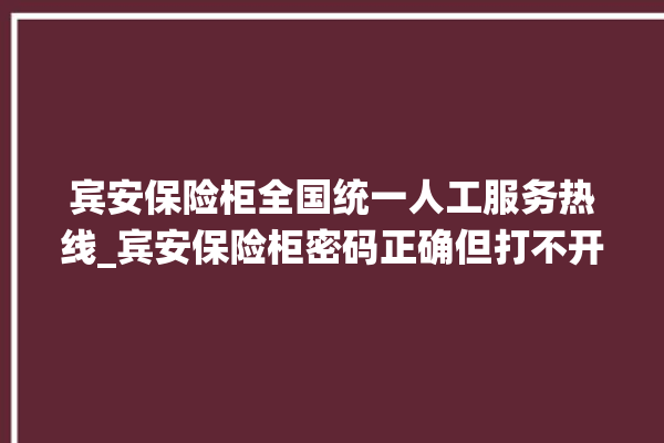 宾安保险柜全国统一人工服务热线_宾安保险柜密码正确但打不开 。保险柜