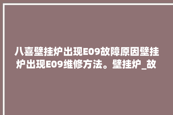 八喜壁挂炉出现E09故障原因壁挂炉出现E09维修方法。壁挂炉_故障