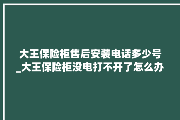 大王保险柜售后安装电话多少号_大王保险柜没电打不开了怎么办 。保险柜